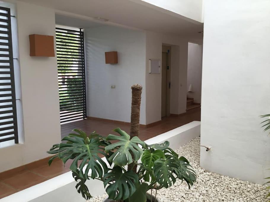אסטפונה Alcazaba Blue Lagoon 3 Bedroom, Ground Floor Apartment מראה חיצוני תמונה